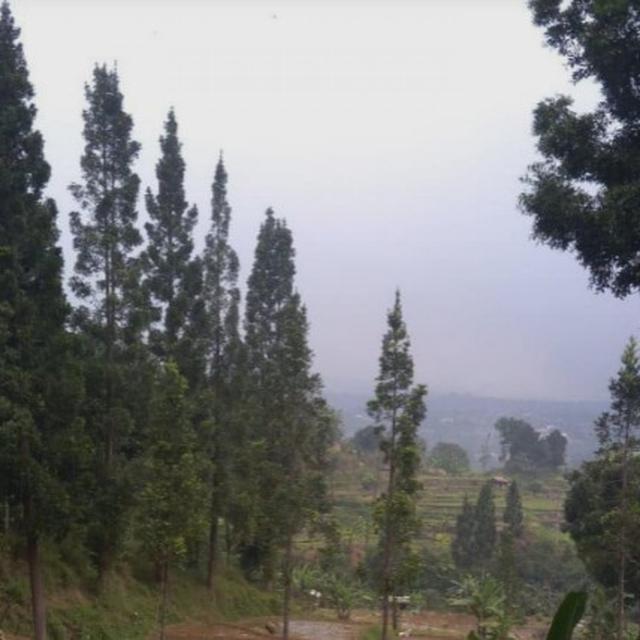 Desa Wisata Cilember