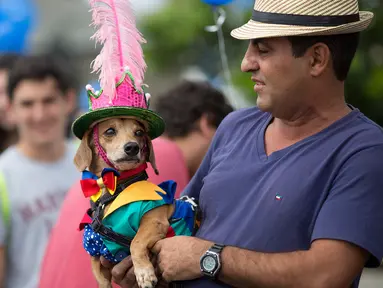 Seekor anjing dihias dan mengenakan kostum digendong pemiliknya saat mengikuti karnaval anjing "Blocao" di pantai Copacabana di Rio de Janeiro, Brasil (4/2). Karnaval Blocao ini bagian dari karnaval tahunan di Ibu Kota Brasil. (AP Photo/Silvia Izquierdo)