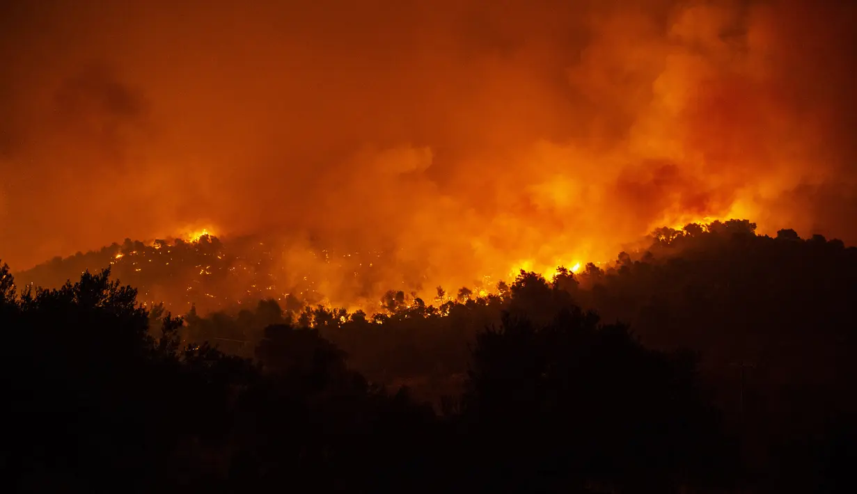 Kebakaran hutan yang terjadi di dekat desa Psachna di pulau Evia, timur laut Athena, Yunani (13/8/2019). Ratusan penduduk desa diungsikan pada 13 Agustus akibat kebakaran hutan yang terjadi. (AFP Photo/Angelos Tzortzinis)