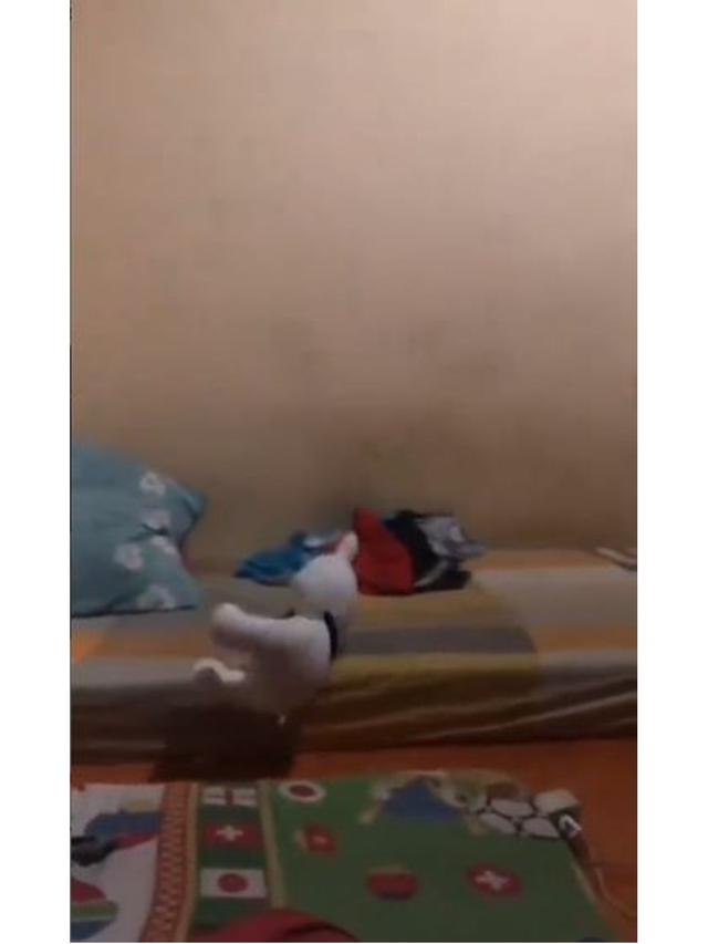 Heboh Boneka di Kamar Kos Pria Ini Bergerak Sendiri, Ternyata Hanya Konten