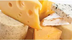   Sebuah studi yang dilakukan University of Michigan, didukung oleh National Institute for Drug Addiction, menemukan bahwa keju jenis cheddar menjadi salah satu makanan adiktif yang dikonsumsi oleh banyak orang. Hal ini karena keju mengandung casomorphins
