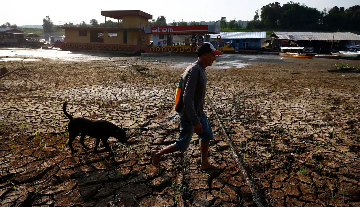 Joaquim Mendes da Silva, 73 tahun, berjalan bersama anjingnya di atas dasar danau Puraquequara yang kering di tengah kekeringan parah, di Manaus, negara bagian Amazonas, Brasil, Kamis, 5 Oktober 2023. (AP Photo/Edmar Barros)