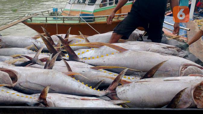 Huhate Maluku: Tradisi Berkelanjutan, Paspor Indonesia Menuju Pasar Tuna Premium Global