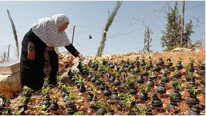 Foto: copyright boredpanda.com