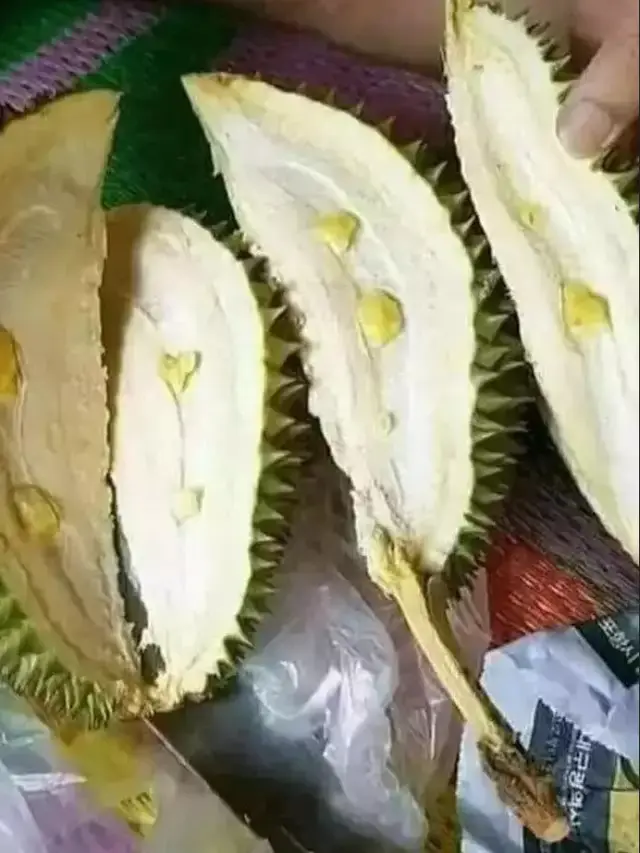 6 Potret Durian Enggak Ada Isinya Ini Apes Banget,