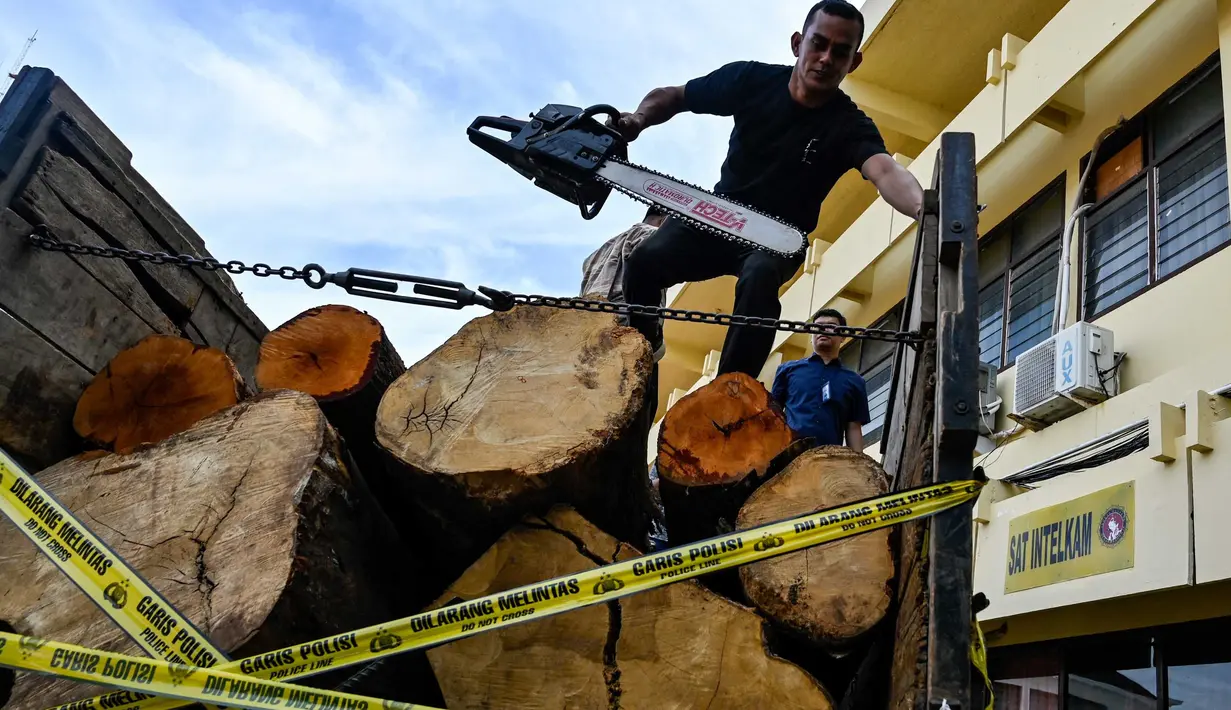 Oleh tersangka, kayu illegal tersebut rencananya akan diproses menjadi papan dan balok, lalu dijual kembali dengan harga sekitar Rp 2,5 juta per kubik. (CHAIDEER MAHYUDDIN/AFP)