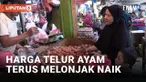 Pembeli Teriak Pusing Harga Telur Ayam Tembus Rp32 Ribu Per Kilogramnya