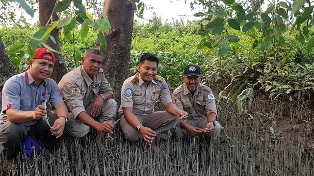 Buaya di Jambi