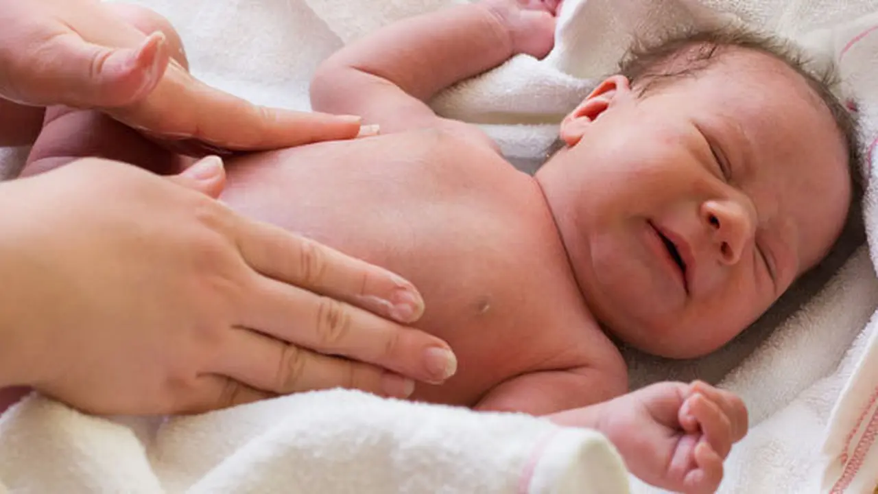 Foto : copyright shutterstock.com