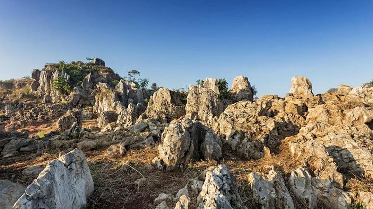 Wisata Anti-mainstream