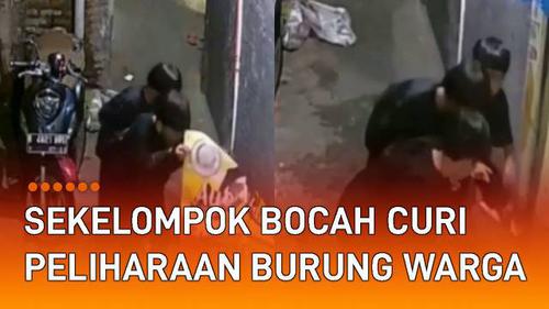 VIDEO: Ngawur, Sekelompok Bocah Curi Peliharaan Burung Warga