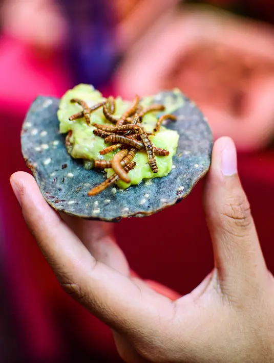Seseorang memakan tortilla jagung dengan cacing dan guacamole di sebuah pasar di Mexico City, Meksiko, Minggu (10/6). (Ronaldo SCHEMIDT/AFP)