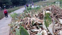 Kondisi tanaman yang ada di sekitar Hutan Kota GBK, Jakarta, Selasa (2/7/2019). Kurangnya perawatan berakibat rusaknya beberapa tanaman yang ada di area Hutan Kota GBK. (Liputan6.com/Helmi Fithriansyah)