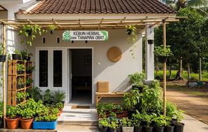 Teras Rumah Kampung Jadi Kebun Mandiri Pangan. (Foto: AI)