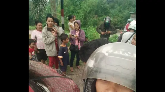 [Bintang] Lebih Heboh dari Ikan Arapaima, Remaja Ini Temukan Ikan Bergigi Mirip Manusia