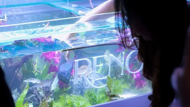 OPPO Reno13 Series 5G Smartphone dengan Fitur Ai jadi favorit Cinta Laura. [Daniel Kampua/Fimela]