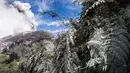 Kondisi tumbuhan di sekitar gunung Turrialba yang memuntahkan abu vulkanik saat erupsi, terlihat dari Cartago, 35 km dari San Jose, Kosta Rika (6/1). (AFP Photo/Ezequiel Becerra)