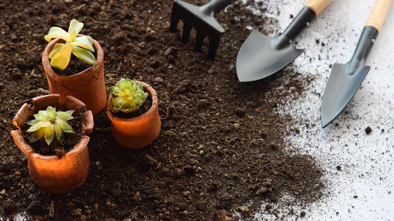 13 Macam Pupuk Organik dan Kimia, Kenali Fungsinya untuk Tanaman