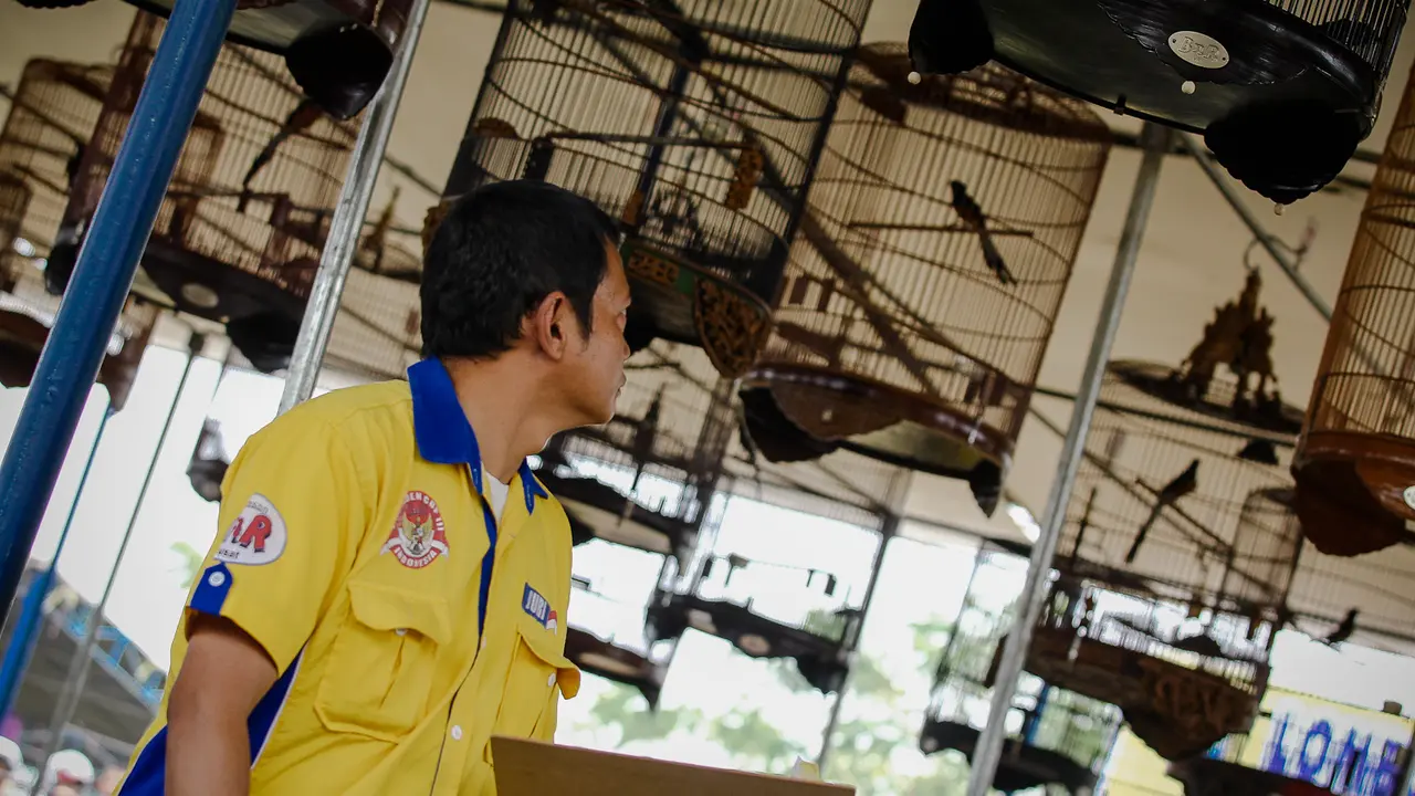 Pameran Burung Berkicau