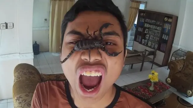 7 Potret Selfie Bareng Hewan di Muka, Bikin Merinding