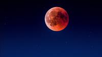Ilustrasi gerhana bulan. (Photo by Martin Adams on Unsplash)