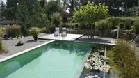 Kolam Renang Alami, Unik dan Ramah Lingkungan