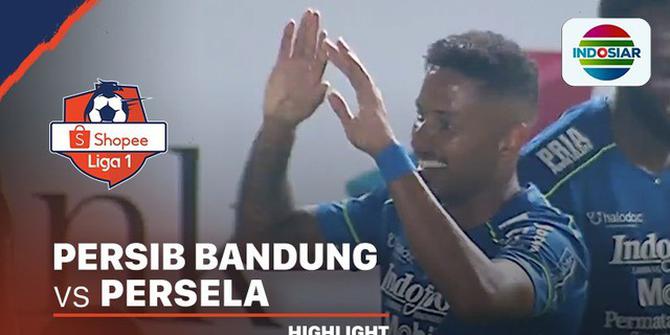 VIDEO: Gol Mengesankan Striker Persib, Wander Luiz ke Gawang Persela