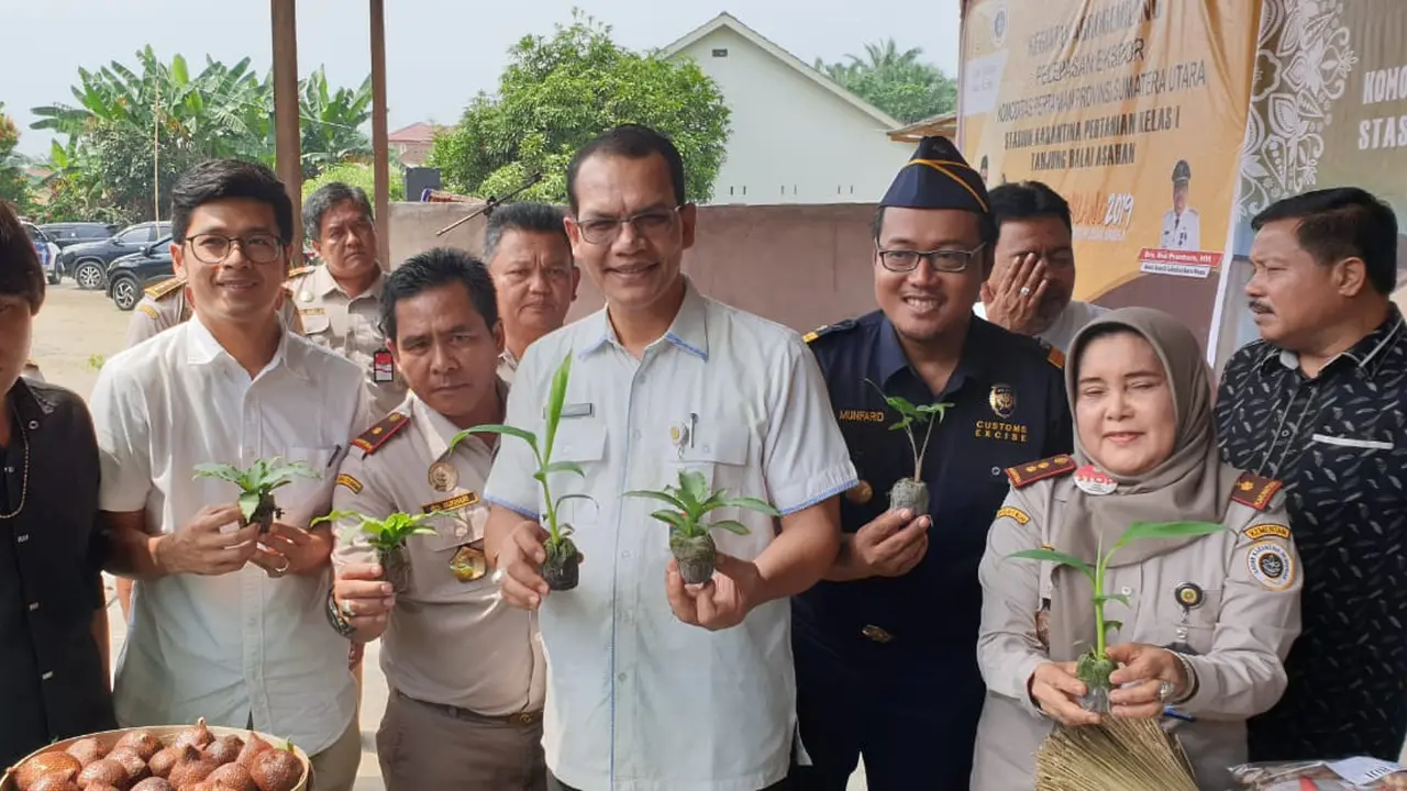 Produk Hortikultura Asal 6 Kabupaten di Sumut, Laris di Pasar Ekspor