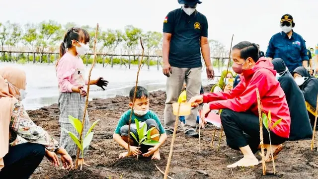 Presiden Jokowi saat menanam mangrove di Kabupaten Bengkalis.