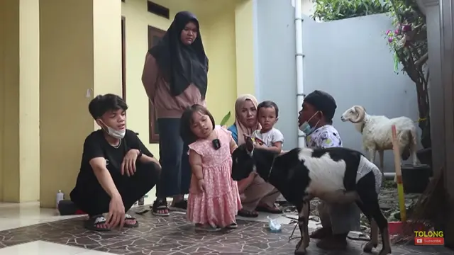 7 Seleb Tanah Air Berkurban Iduladha Tahun Ini, Ada Kambing hingga Sapi Limosin