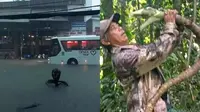 6 Momen Hampir Terkecoh Dikira Ular Ini Bikin Was-Was, Perlu Lihat Dua Kali