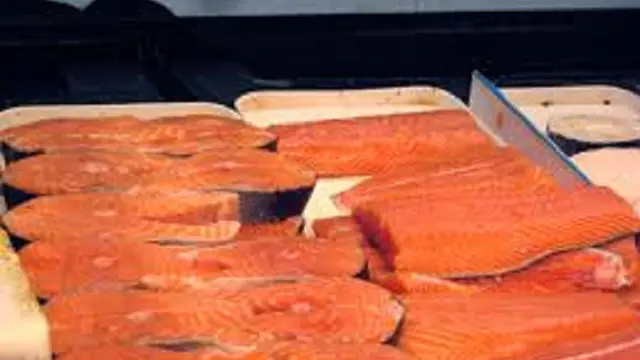 Ikan salmon