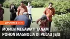 Dalam kunjungannya ke Korea Selatan sebagai pembicara kunci dalam Jeju Forum 2022, Megawati mengingatkan masyarakat untuk mencintai lingkungan. Megawati menyempatkan menanam pohon magnolia secara simbolis di Pulau Jeju.