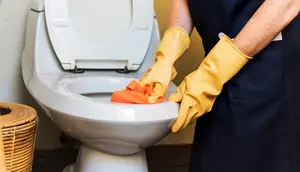 6 Alat Pembersih yang Bisa Merusak Toilet, Wajib Tahu