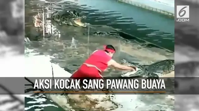 Aksi seorang Pawang gagal karena terkejut temannya jatuh terpeleset ke dalam kolam.