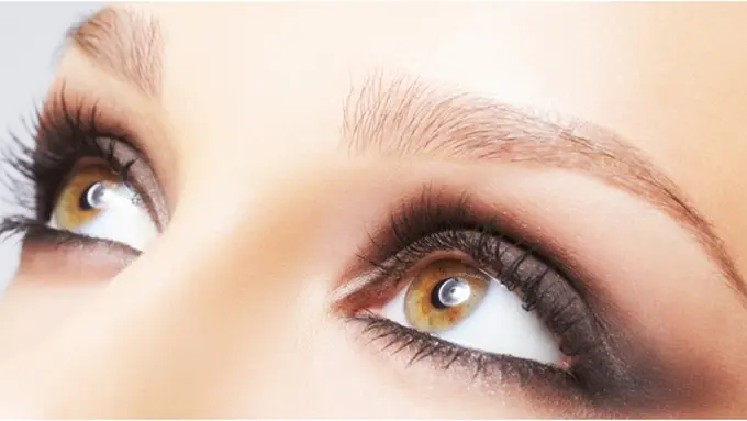 Foto: copyright shutterstock.com