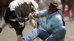 Jake Rinehart dari Highmore, South Dakota, berusaha meaih tanduk sapi liar di festival rodeo Calgary Stampede di Alberta, Kanada, (6/7/2014). (REUTERS/Todd Korol)