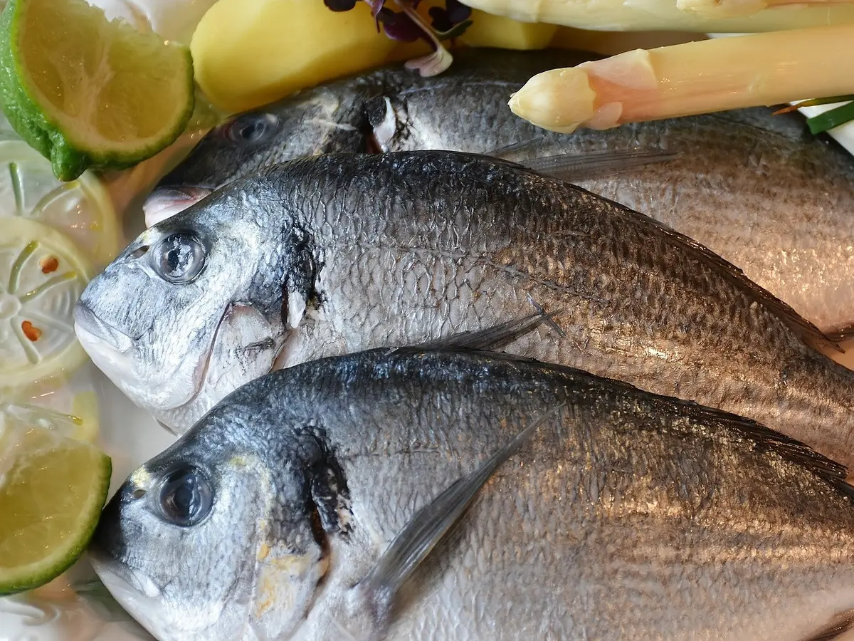 88 Jelaskan Pengertian Ikan Air Laut Dan Berikan Contohnya Gratis Terbaru