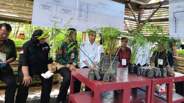 Presiden Joko Widodo atau Jokowi dan Iriana menanam bibit vetiver di Desa Jatisari Kabupaten Wonogiri, Jawa Tengah, Sabtu (15/2/2020).