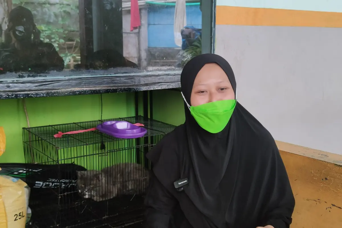 Margo City Ambruk