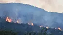 Kebakaran lahan terlihat di wilayah pedesaan di Provinsi Hama, Suriah tengah, pada 9 September 2020. Api melalap tanah pertanian di wilayah pedesaan provinsi tersebut, papar seorang pejabat Suriah pada Rabu (9/9). (Xinhua/Stringer)