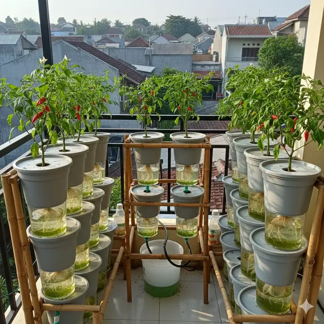 Kebun cabai lahan sempit (Foto: Gemini AI)