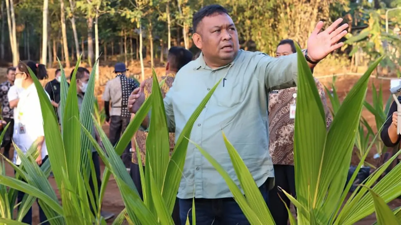 Direktur Jenderal Perkebunan Kementerian Pertanian, Andi Nur Alamsyah.