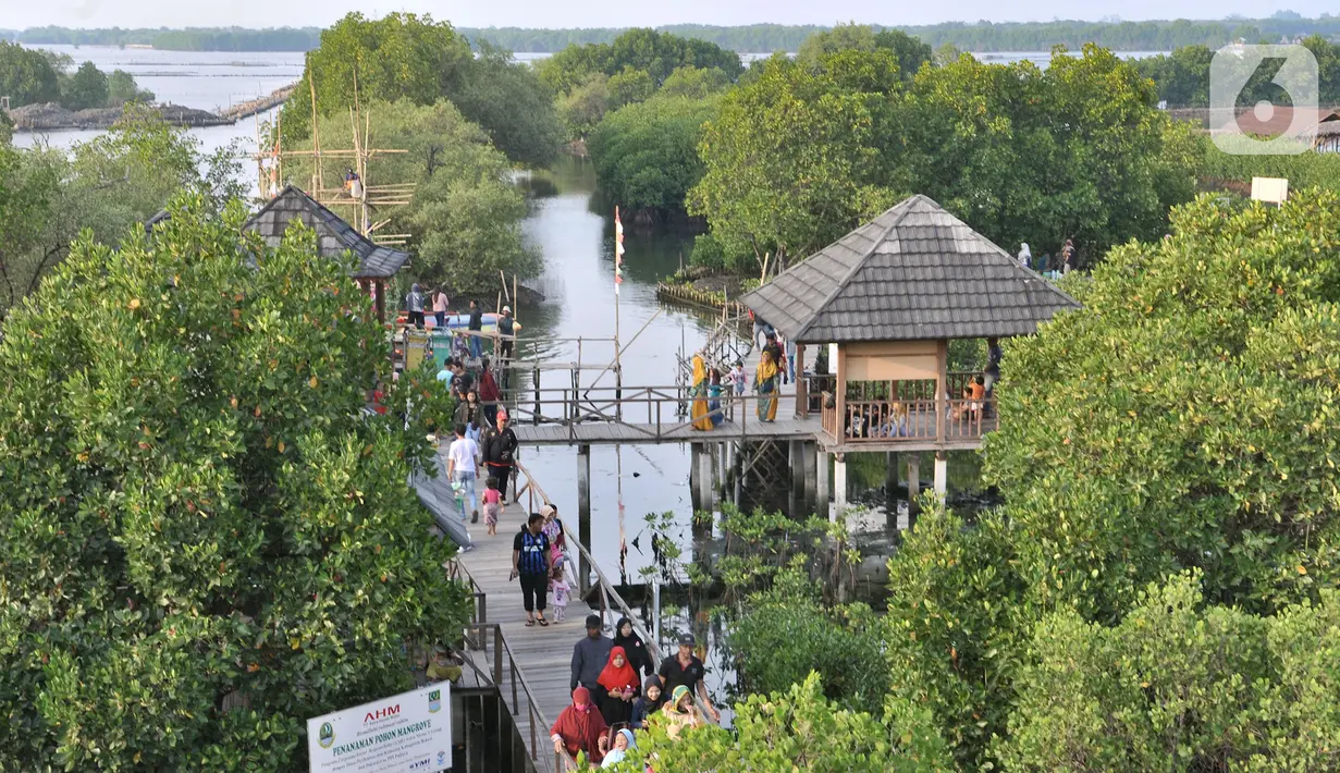 Wisatawan saat mengunjungi Taman Wisata Hutan Bakau (Mangrove) di Desa Segarajaya, Tarumajaya, Bekasi, Jawa Barat (24/11/2019). Taman wisata hutan bakau ini menjadi salah satu destinasi favorit untuk mengisi liburan akhir pekan. (merdeka.com/Iqbal S. Nugroho)