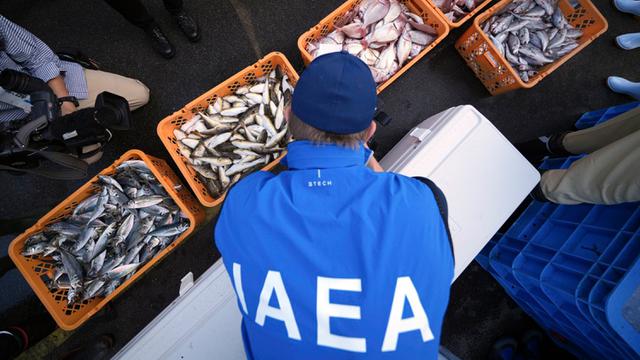 Uji Limbah Nuklir Fukushima