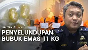 Penyelundupan Bubuk Emas 11 Kilogram ke Singapura Digagalkan!