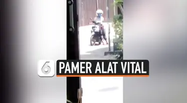 PAMER ALAT VITAL