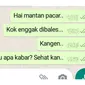 5 Chat Mantan Tanya Kabar Ibu Ini Bikin Baper (sumber: Istimewa)