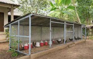 Desain Kandang Ayam Postal Baja Ringan (AI)