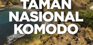 Apa saja daya tarik dari Pulau Komodo? Yuk, kita cek videonya di atas!